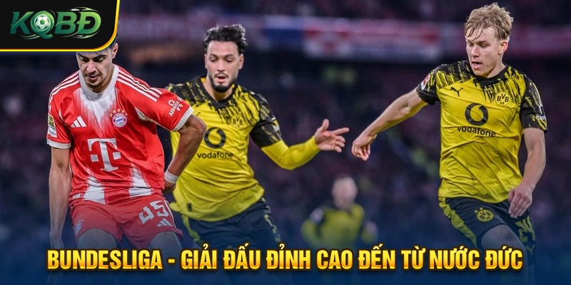 KQBD 365 - Lịch Thi Đấu & Kết Quả Bóng Đá Trực Tuyến Hôm Nay 16 Bundesliga luôn được theo dõi kết quả từ hàng ngàn lượt truy cập mỗi ngày